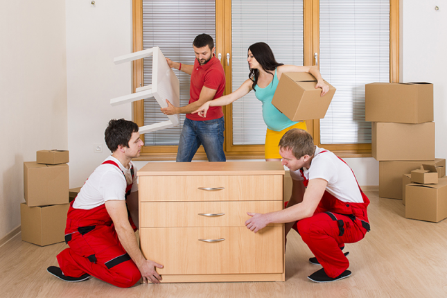 Furniture Removalist